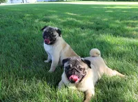 processed/27c7ecec-18a8-4322-890b-d6ec11139b3b/facility/70d9d1b7-16ec-4ece-a3c2-6b9aeacb57db