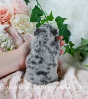 processed/27c7ecec-18a8-4322-890b-d6ec11139b3b/listing/effbed39-32e9-4a05-a9e4-0d2d616aa749/14b54aaf-b43a-4ed5-b8e2-dd5b7a8b77b9