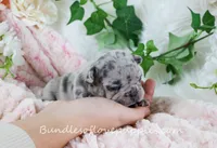 processed/27c7ecec-18a8-4322-890b-d6ec11139b3b/listing/effbed39-32e9-4a05-a9e4-0d2d616aa749/69b5dc10-9b81-4d8f-8928-047f248a8809