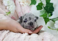 processed/27c7ecec-18a8-4322-890b-d6ec11139b3b/listing/effbed39-32e9-4a05-a9e4-0d2d616aa749/7485f055-55ee-436e-88a2-3cb69d2fadf3