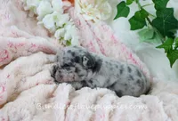 processed/27c7ecec-18a8-4322-890b-d6ec11139b3b/listing/effbed39-32e9-4a05-a9e4-0d2d616aa749/effedef9-2952-4529-a517-a360f961d920