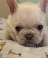 processed/27c95f89-b147-4912-a4e9-c56a1e016904/listing/2512846e-2425-4c71-b695-fafd6aee4fb3/5939e53d-10ce-4acc-aac8-9ababa844bc0