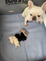 processed/27c95f89-b147-4912-a4e9-c56a1e016904/listing/2512846e-2425-4c71-b695-fafd6aee4fb3/8e143458-c9a5-4a93-8710-cb951ce69df2