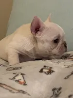 processed/27c95f89-b147-4912-a4e9-c56a1e016904/listing/2512846e-2425-4c71-b695-fafd6aee4fb3/cabc4ce1-eacd-4787-b730-1c97d64b1463