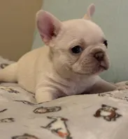 processed/27c95f89-b147-4912-a4e9-c56a1e016904/listing/2512846e-2425-4c71-b695-fafd6aee4fb3/dd0e5311-0b1c-4b39-8f9b-0c498d089484