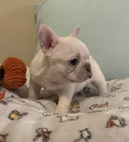 processed/27c95f89-b147-4912-a4e9-c56a1e016904/listing/2512846e-2425-4c71-b695-fafd6aee4fb3/ec2f8884-e983-412e-b8fd-0366e7e724a2