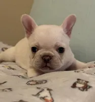 processed/27c95f89-b147-4912-a4e9-c56a1e016904/listing/2512846e-2425-4c71-b695-fafd6aee4fb3/f0d5d04b-a394-4214-9cae-a2d1689533e3