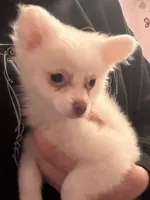 processed/27cd7062-16ba-4e3f-a122-61a6e45e08bf/listing/fbead610-656b-4489-90c4-453ff2b2e548/31ec9ae1-49dd-41fd-bc17-faeb6993a388