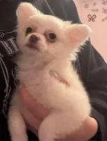 processed/27cd7062-16ba-4e3f-a122-61a6e45e08bf/listing/fbead610-656b-4489-90c4-453ff2b2e548/38525802-63dd-4815-9534-d7cabdce45e1