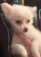 processed/27cd7062-16ba-4e3f-a122-61a6e45e08bf/listing/fbead610-656b-4489-90c4-453ff2b2e548/b04b302d-79a9-4682-83f0-fa7374e5f540