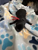 processed/27d3bf3d-e9c0-41cc-b792-17277e0c36c2/listing/07b28f55-9712-4939-baba-ffc94791f46c/84b14ea0-fa3f-410f-8ae4-7fca6ad2bad8