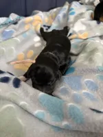 processed/27d3bf3d-e9c0-41cc-b792-17277e0c36c2/listing/23865926-a796-43c6-ae2e-dae55ddad912/9c4dbf56-d1ca-4b64-ad04-d3cc3cd47c22