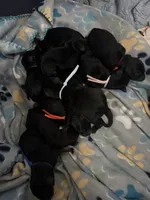 processed/27d3bf3d-e9c0-41cc-b792-17277e0c36c2/listing/23865926-a796-43c6-ae2e-dae55ddad912/bb714dcc-ac6a-4361-8bcc-61f2760cb915