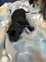 processed/27d3bf3d-e9c0-41cc-b792-17277e0c36c2/listing/d4956306-268d-460b-a926-341138050ebb/31c8066b-7167-4bad-a17d-df5bca9137c1