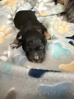 processed/27d3bf3d-e9c0-41cc-b792-17277e0c36c2/listing/d8e461a6-e0a8-4e28-a36f-9507d37d3290/9c135471-1eae-4702-91ba-8923d11999ba