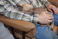 processed/27db5a05-aa62-4890-a766-d00ddf53781f/listing/20174c94-2134-43c2-b3e2-7a57e25535d0/64588242-53fb-4c26-a8ef-50de85d6e7a7