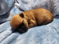 processed/27db5a05-aa62-4890-a766-d00ddf53781f/listing/20174c94-2134-43c2-b3e2-7a57e25535d0/712d54ea-f6af-4dbc-8d81-3038e8ea3334