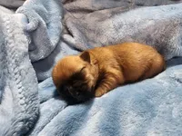 processed/27db5a05-aa62-4890-a766-d00ddf53781f/listing/20174c94-2134-43c2-b3e2-7a57e25535d0/784262e0-0e7e-4240-96be-89acb3bfc3e5