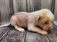 processed/27db5a05-aa62-4890-a766-d00ddf53781f/listing/e7672a24-0a2e-4bc8-b6a4-6c516d52baf5/bd0f7b0f-f18e-498f-a550-54fe4a250e0c