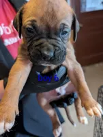 processed/27dbc687-1423-4baf-9d26-49ca164ae7cf/listing/123cc4e8-15f7-48a8-9fd2-27daa9442499/15e92f39-7172-43a0-9811-9eddfd9a9050