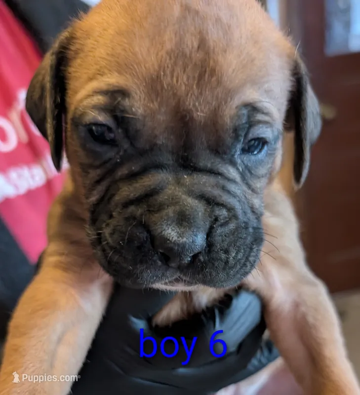 Boy#6