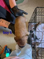 processed/27dbc687-1423-4baf-9d26-49ca164ae7cf/listing/123cc4e8-15f7-48a8-9fd2-27daa9442499/fb198ac1-08e5-4d3b-b914-dad798145d81