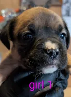 processed/27dbc687-1423-4baf-9d26-49ca164ae7cf/listing/4f469240-9946-4c6b-960a-9afd00bb2c25/583eae93-5810-4374-96bf-73c6c4f37736