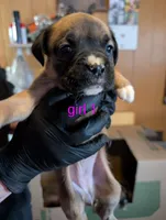 processed/27dbc687-1423-4baf-9d26-49ca164ae7cf/listing/4f469240-9946-4c6b-960a-9afd00bb2c25/9a7f7e64-3bb2-4d51-81c9-d7b0acb41e69