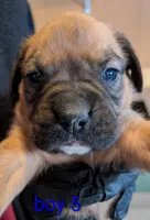 processed/27dbc687-1423-4baf-9d26-49ca164ae7cf/listing/6d49a890-d02a-4f56-89c2-3551f8921620/57cf6432-a63a-4d3f-af48-4dbcb58ccb10