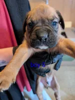 processed/27dbc687-1423-4baf-9d26-49ca164ae7cf/listing/6d49a890-d02a-4f56-89c2-3551f8921620/6fd8a137-1b6d-4f44-be32-fc04ae547824