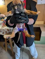 processed/27dbc687-1423-4baf-9d26-49ca164ae7cf/listing/ab1801cc-a688-4d6d-b0e0-12a73243a75b/0c702ec3-e80d-44e0-abba-a24f0f65d7fd