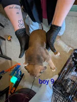 processed/27dbc687-1423-4baf-9d26-49ca164ae7cf/listing/ab1801cc-a688-4d6d-b0e0-12a73243a75b/e0957ba1-8299-419d-acef-00aef481c7b7