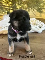 processed/27dc4168-9656-4523-bf54-3677ecae5078/listing/13eca240-6e21-434e-b862-380ab58c86e1/88042060-f5b4-4bde-9adc-fe873c687036