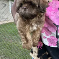 processed/27e43d7e-cb3f-4aa6-9461-c36af70f08fe/facility/165a0091-a7d3-4253-8a48-6f81a3b105dc