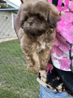 processed/27e43d7e-cb3f-4aa6-9461-c36af70f08fe/facility/165a0091-a7d3-4253-8a48-6f81a3b105dc