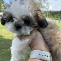 processed/27e43d7e-cb3f-4aa6-9461-c36af70f08fe/facility/200ef6ee-08e5-42dc-8a1c-ffc89f419dbc