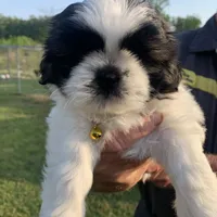 processed/27e43d7e-cb3f-4aa6-9461-c36af70f08fe/facility/2e7744f2-233b-4635-971e-8e156534ddb0