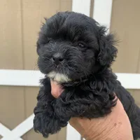 processed/27e43d7e-cb3f-4aa6-9461-c36af70f08fe/facility/34376fa8-de8c-490a-9e8a-b8e6e44161a6