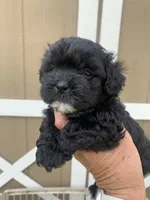 processed/27e43d7e-cb3f-4aa6-9461-c36af70f08fe/facility/34376fa8-de8c-490a-9e8a-b8e6e44161a6