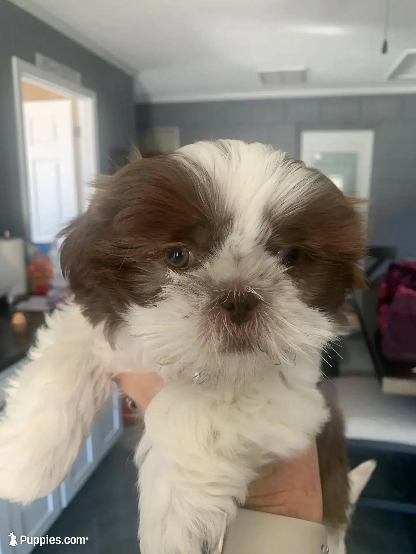 processed/27e43d7e-cb3f-4aa6-9461-c36af70f08fe/facility/51807d46-8b74-4e6e-9349-f4389903ffec