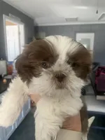 processed/27e43d7e-cb3f-4aa6-9461-c36af70f08fe/facility/51807d46-8b74-4e6e-9349-f4389903ffec