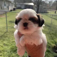 processed/27e43d7e-cb3f-4aa6-9461-c36af70f08fe/facility/89377016-8684-4c82-8fc1-7e758c15f8e4