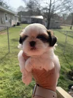 processed/27e43d7e-cb3f-4aa6-9461-c36af70f08fe/facility/89377016-8684-4c82-8fc1-7e758c15f8e4