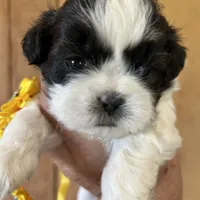 processed/27e43d7e-cb3f-4aa6-9461-c36af70f08fe/facility/8d777984-96c5-47a7-b2df-6254a4207d0f