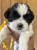 processed/27e43d7e-cb3f-4aa6-9461-c36af70f08fe/facility/8d777984-96c5-47a7-b2df-6254a4207d0f