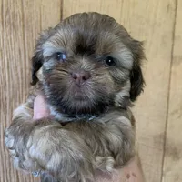 processed/27e43d7e-cb3f-4aa6-9461-c36af70f08fe/facility/92fdb150-fa1d-487b-9665-bc977d15b71f