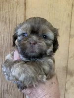 processed/27e43d7e-cb3f-4aa6-9461-c36af70f08fe/facility/92fdb150-fa1d-487b-9665-bc977d15b71f