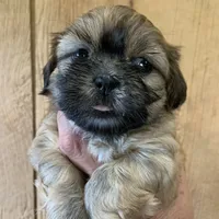 processed/27e43d7e-cb3f-4aa6-9461-c36af70f08fe/facility/b9c8ec53-1f4e-45d4-8b1a-674590dc173e