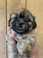 processed/27e43d7e-cb3f-4aa6-9461-c36af70f08fe/facility/b9c8ec53-1f4e-45d4-8b1a-674590dc173e