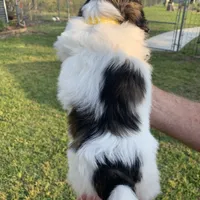 processed/27e43d7e-cb3f-4aa6-9461-c36af70f08fe/facility/f5212a5b-bd24-434d-b105-282d3e1c4b5a